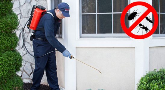 Sütçüler Kene İlaçlama böcek ilaçlama ve haşere kontrolü — ilaclama-tr.com